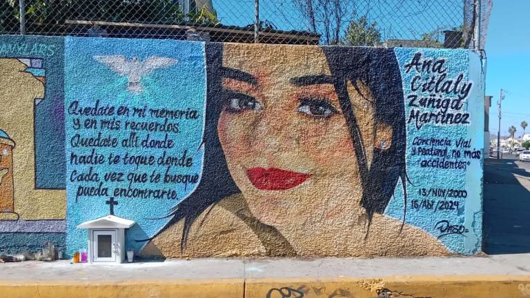 Ana Citlaly, la joven estudiante de Comercio Internacional, ya tiene su mural en la zona donde perdió la vida el pasado 16 de abril al ser arrollada por un camión urbano.