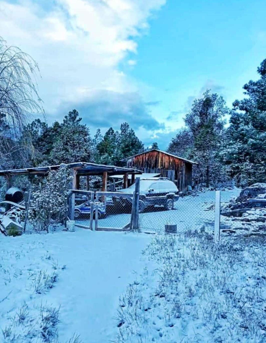 $!Caída de nieve en municipios de la sierra de Durango.