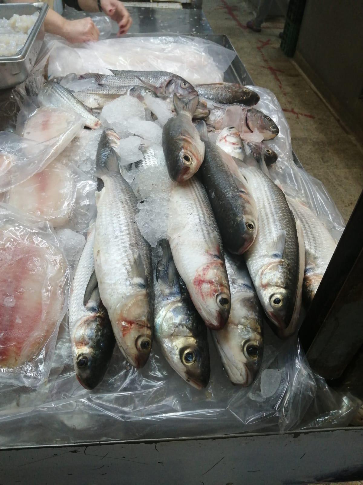$!Previo a la Cuaresma, así se mantienen los precios de pescados y mariscos en el Mercado Garmendia de Culiacán