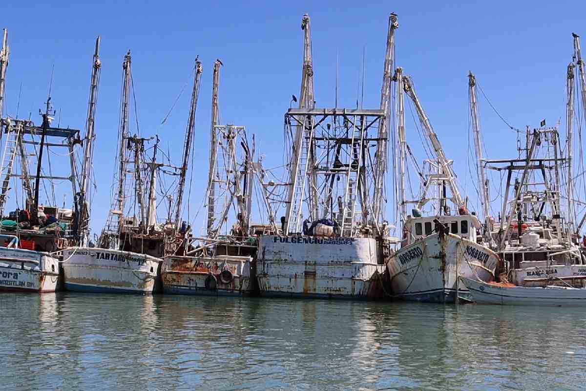 $!Barcos pesqueros en el muelle de San Felipe, Baja California sitio donde se realiza la revisión de pangas y documentos antes de ingresar al mar para pescar.