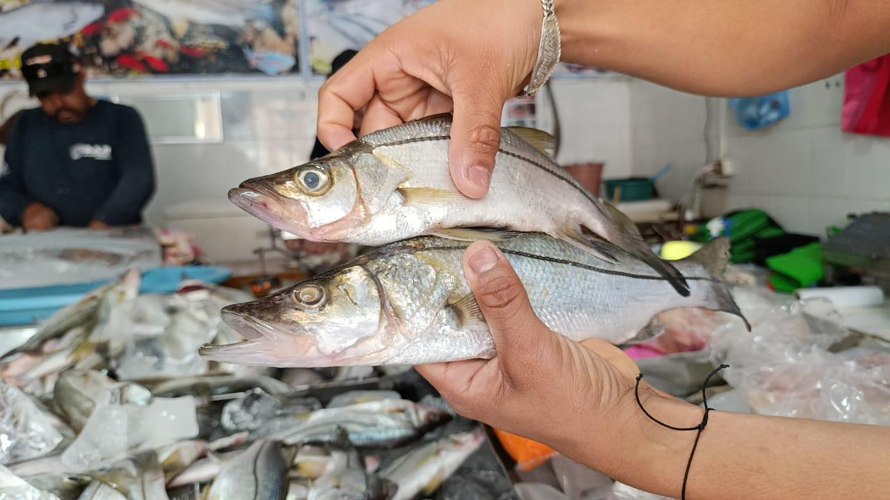 $!Llega la semana esperada para la venta de mariscos en Escuinapa