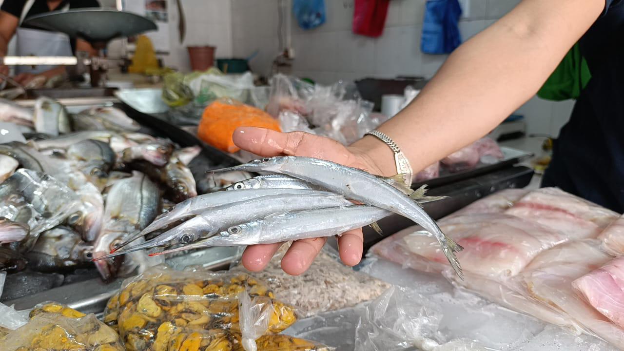 $!Llega la semana esperada para la venta de mariscos en Escuinapa