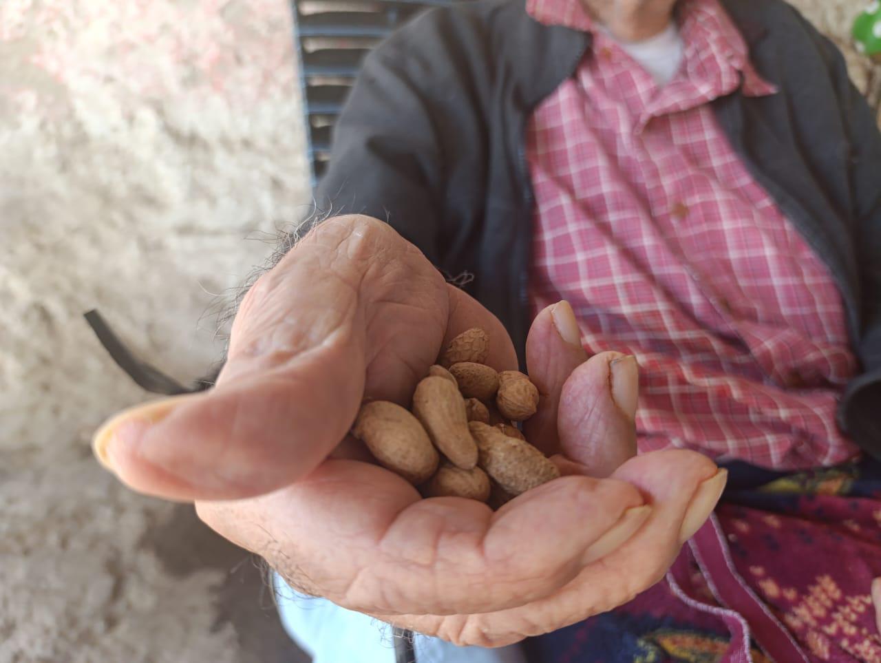 $!Don Polín, el cacahuatero que se extraña en el parque Hidalgo, en Escuinapa