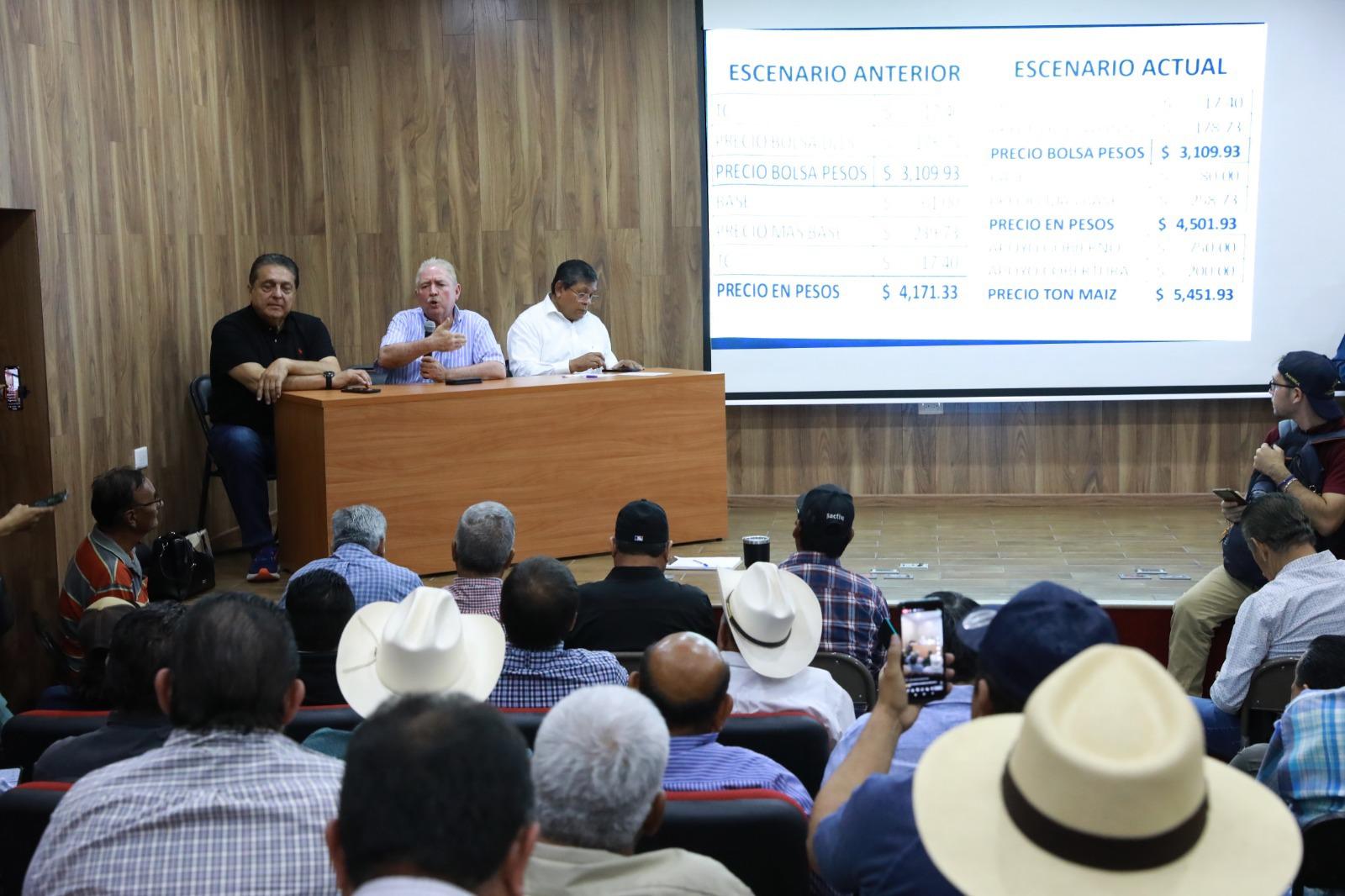 $!Bodegueros respaldan precio base de maíz en Sinaloa