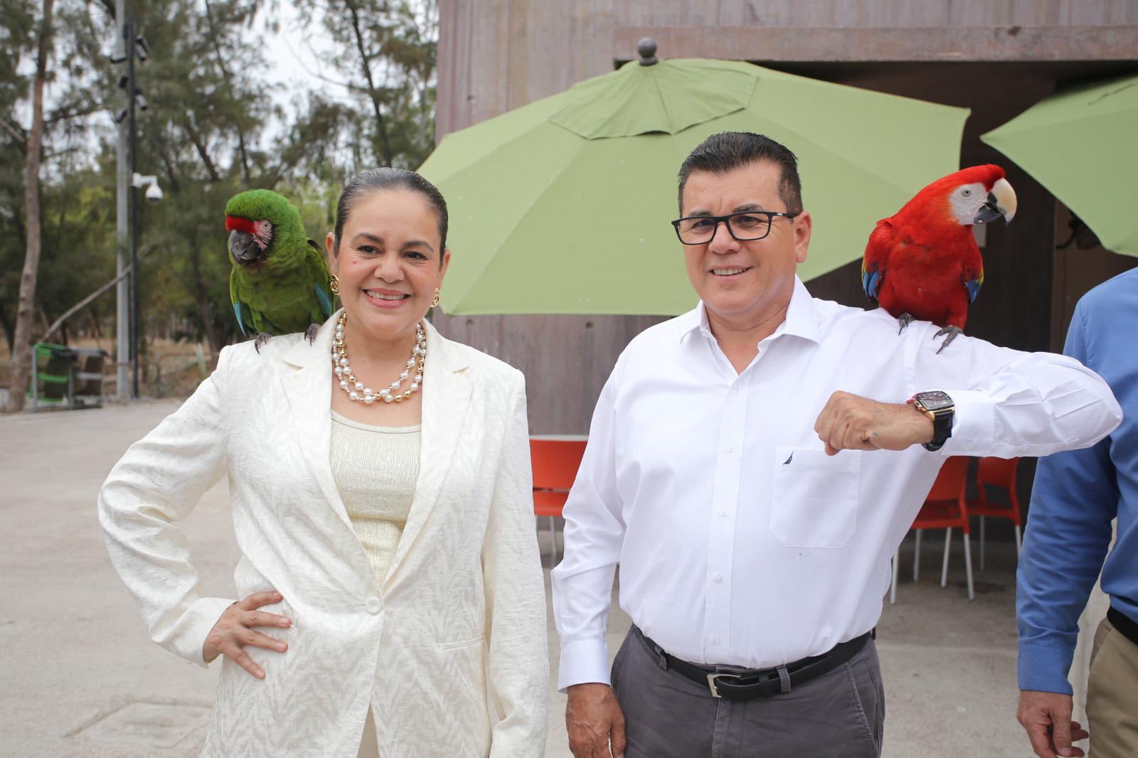 $!Celebran primer año del Gran Acuario Mazatlán Mar de Cortés e inauguran ‘El Nido’