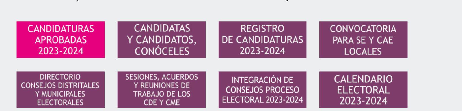 $!Solo dos candidatas a la Alcaldía por Rosario aparecen en el portal IEES