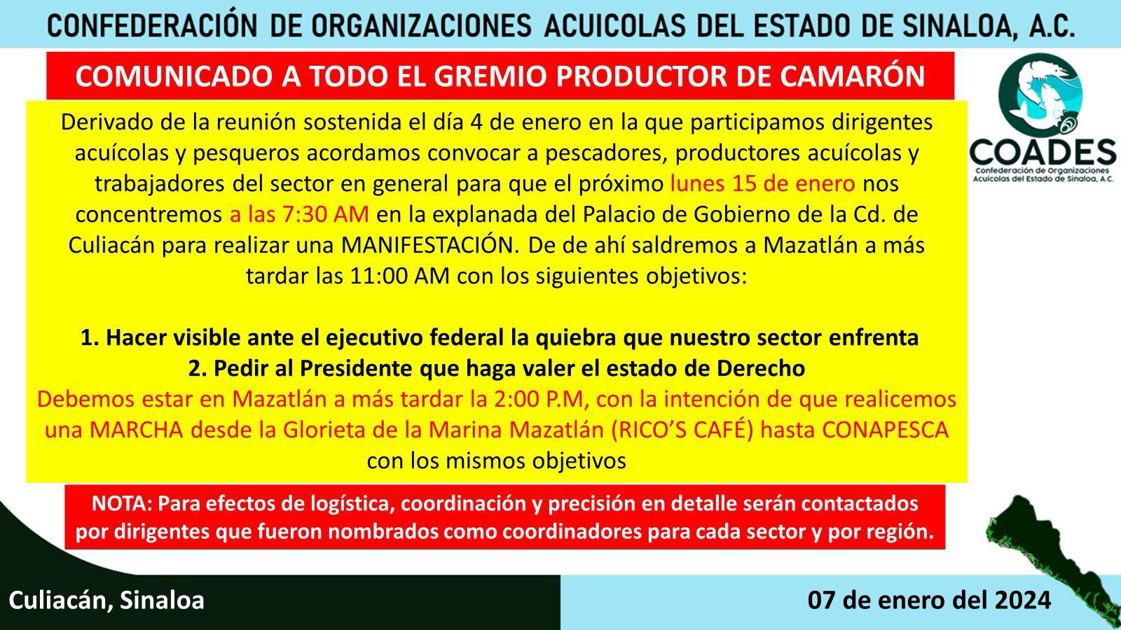 $!Convocan a productores de camarón afectados por crisis a plantarse en Palacio de Gobierno de Culiacán el lunes