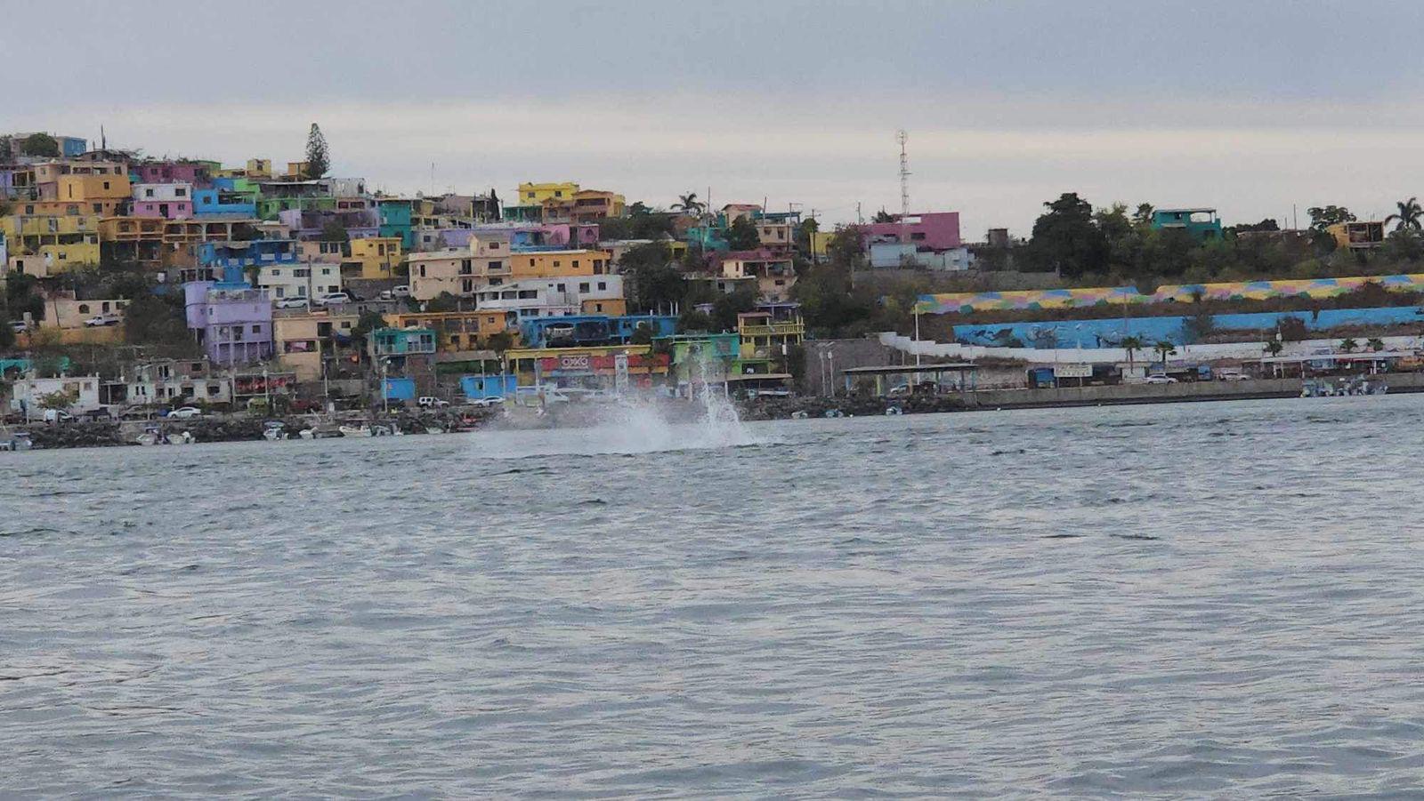 $!#VIDEO Captan a ballena en la bahía de Topolobampo
