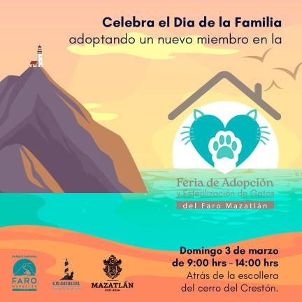 Invitan a participar este domingo en la Feria de la Adopción y Esterilización de Gatos en la escollera de Mazatlán.