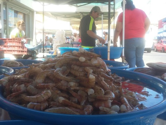 Se alza el precio de camarón en Mazatlán