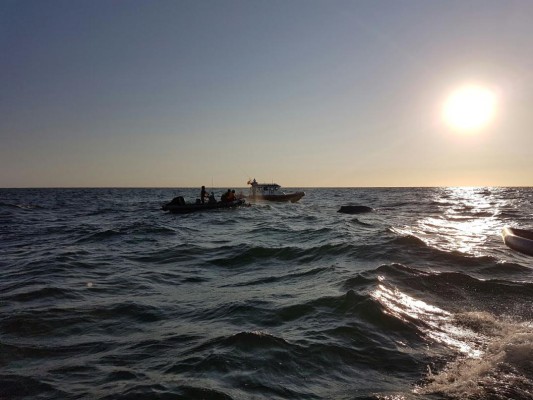 Rescatan en costas de Mazatlán a ballena enmallada