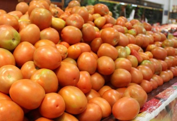 México seguirá negociando si EU decide cancelar convenio del tomate: Secretaría de Economía