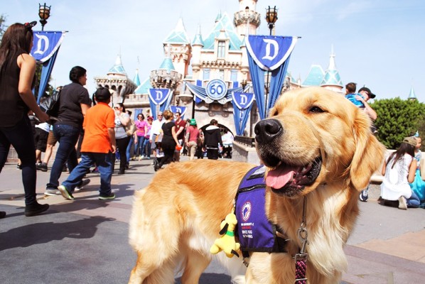 Disney abren sus puertas a los perros