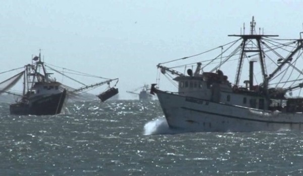 Naufraga barco camaronero en Topolobampo; la Marina rescata a sus 7 tripulantes