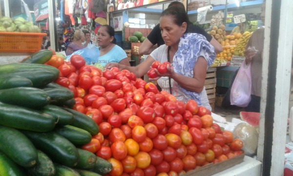 Se vuelve el tomate en Sinaloa un producto de 'lujo'
