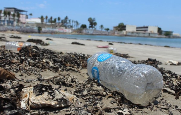 Cumplirá Viva la Ola un año de limpiar las playas