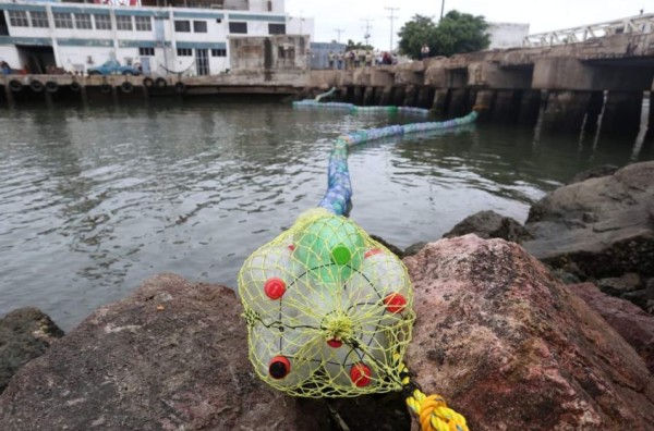 Ecología de Mazatlán acusa a pescadores de haber robado la biobarda del Puente Juárez