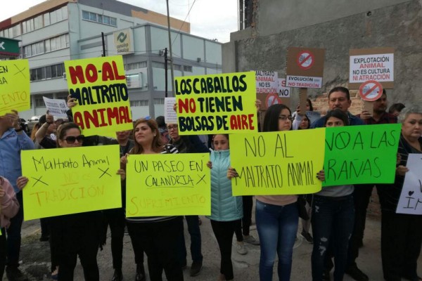 Es oficial: proyecto de las calandrias no va en Mazatlán