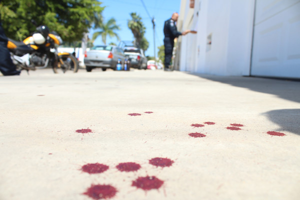 Ataca perro a mujer en el Sábalo Country, de Mazatlán