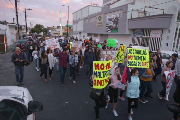 Protestan en Mazatlán contra las calandrias