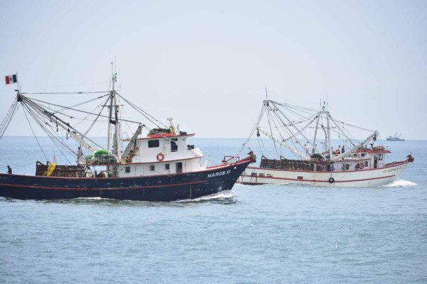 Denuncian armadores de Mazatlán presiones en la pesca