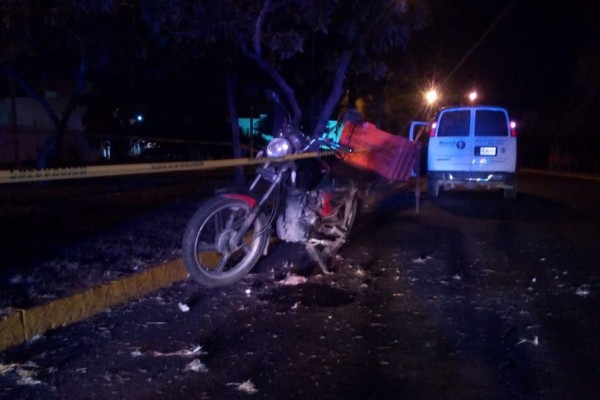 Motociclista choca contra palmera y pierde la vida, en Mazatlán