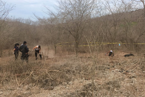 Suman tres cadáveres hallados en fosas clandestinas de Mazatlán