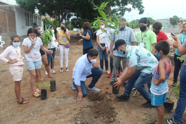 Mazatlán inicia la reforestación del Fraccionamiento Jacarandas