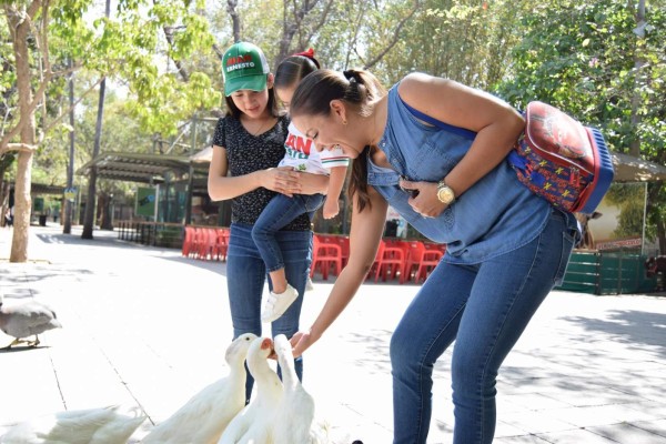 Grandes y pequeños visitan el Zoológico de Culiacán