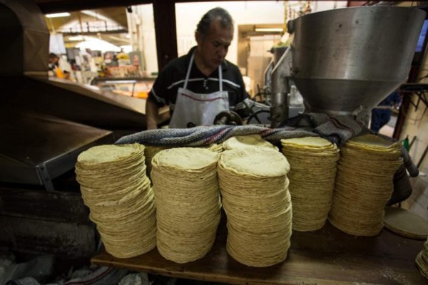 Precio de tortilla aumentará hasta 3 pesos, advierten productores