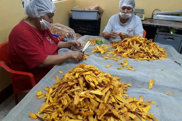 Genera deshidratación de mango sus primeros empleos en Escuinapa