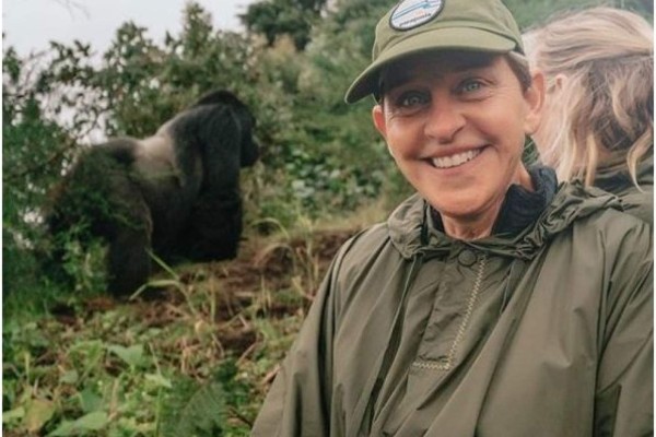 Ellen DeGeneres en su encuentro con los gorilas.