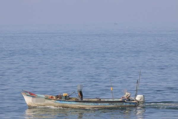 Fuera de control, pesca ilegal de camarón, acusa la Canainpesca