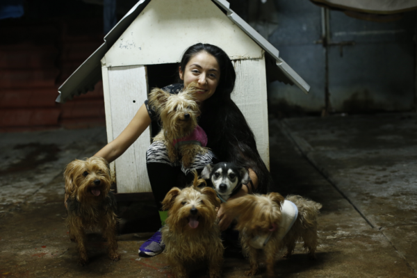 Alejandra, una rescatadora de perros en Culiacán