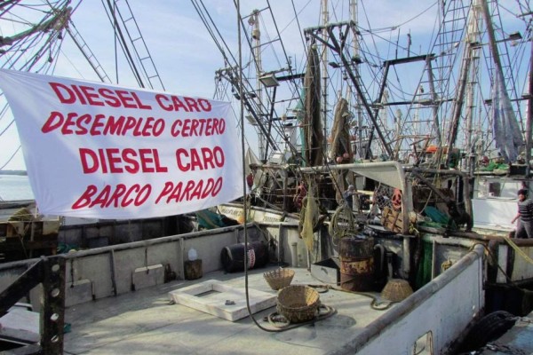 Pesca nacional en crisis, y aún no ven reacción del Gobierno federal
