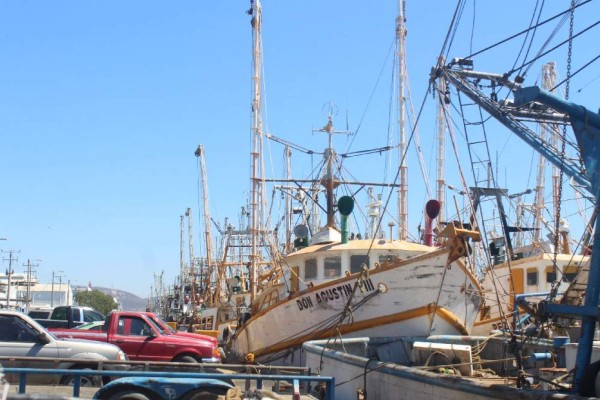 Abren registro de apoyo para pescadores de Sinaloa