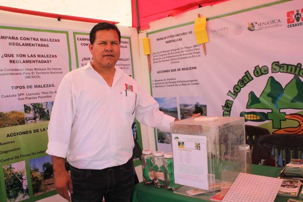 Reproduce Junta Local crisopa para combatir plagas