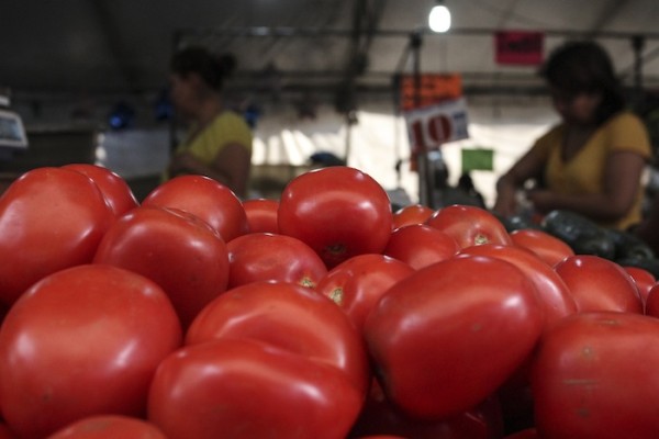 El tomate sube hasta 600 % en San Luis Potosí, según reportan locatarios de Central de Abastos