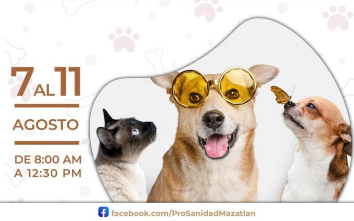 Si quieres esterilizar a tu mascota, puedes llevarla del 7 al 11 de agosto a la colonia Mazatlán I.