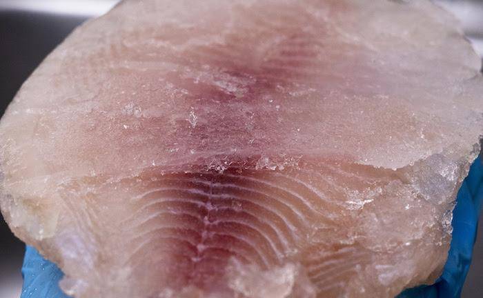 La organización internacional Oceana advirtió que en pescados y camarón importados, se excede la cantidad de hielo añadido al producto, lo que eleva su peso.