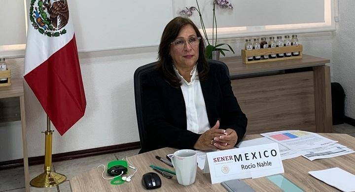 Rocío Nahle pretendía contender por la Gubernatura de Veracruz, pese a no ser nativa de la entidad, ya que nació en Zacatecas.