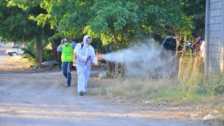 Salud Sinaloa reportan tendencia a la baja de incidencia del dengue