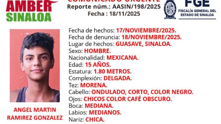 La FGE activó la Alerta Amber para la localización del adolescente de 15 años. La FGE activó la Alerta Amber para la localización del adolescente de 15 años.