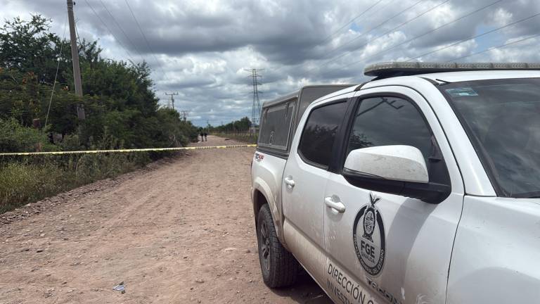 El reporte fue realizado cuando integrantes de un colectivo de búsqueda localizaron los restos humanos esparcidos sobre la tierra. El reporte fue realizado cuando integrantes de un colectivo de búsqueda localizaron los restos humanos esparcidos sobre la tierra.