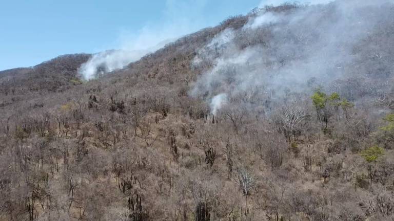 Aún se tienen incendios forestales activos en Mazatlán