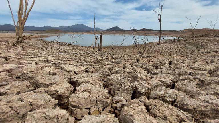 Las sequías están afectando a 61.5% de municipios del país.