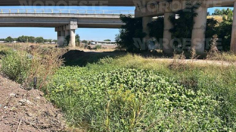 El cuerpo fue hallado flotando en el agua por trabajadores agrícolas. El cuerpo fue hallado flotando en el agua por trabajadores agrícolas.