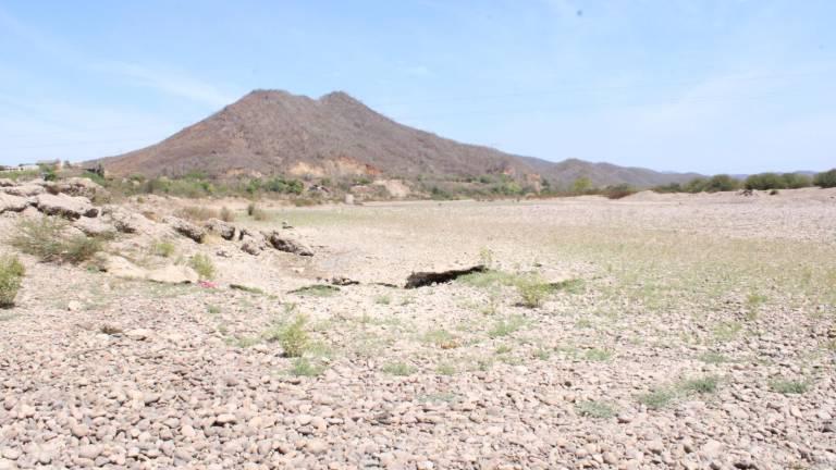 La organización Conselva advierte que las sequías en Sinaloa cada vez serán más prolongadas.