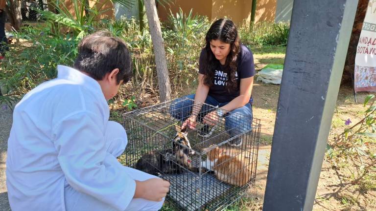 El programa “Huellitas del Bienestar” ha canalizado 58 adopciones y brindado casi 6 mil cirugías de esterilización para perros y gatos en la ciudad. El programa “Huellitas del Bienestar” ha canalizado 58 adopciones y brindado casi 6 mil cirugías de esterilización para perros y gatos en la ciudad.