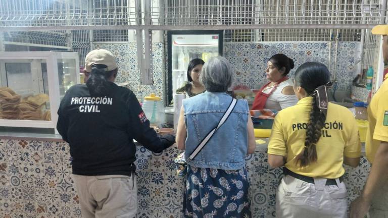 El operativo se realizó tanto a comercios de comida fijos, como a ambulantes. El operativo se realizó tanto a comercios de comida fijos, como a ambulantes.